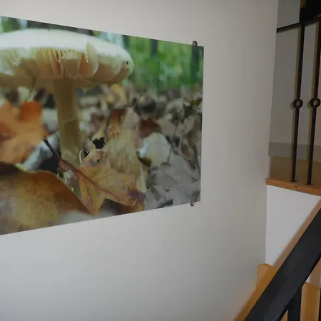 塔克西姆科特恩套房酒店 * 伊斯坦布尔